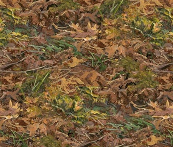 Nature's First Light