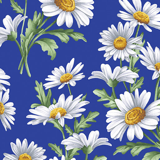 All About Daisies