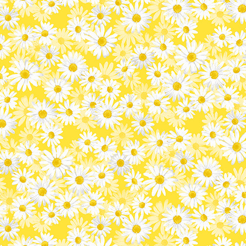 Daisies